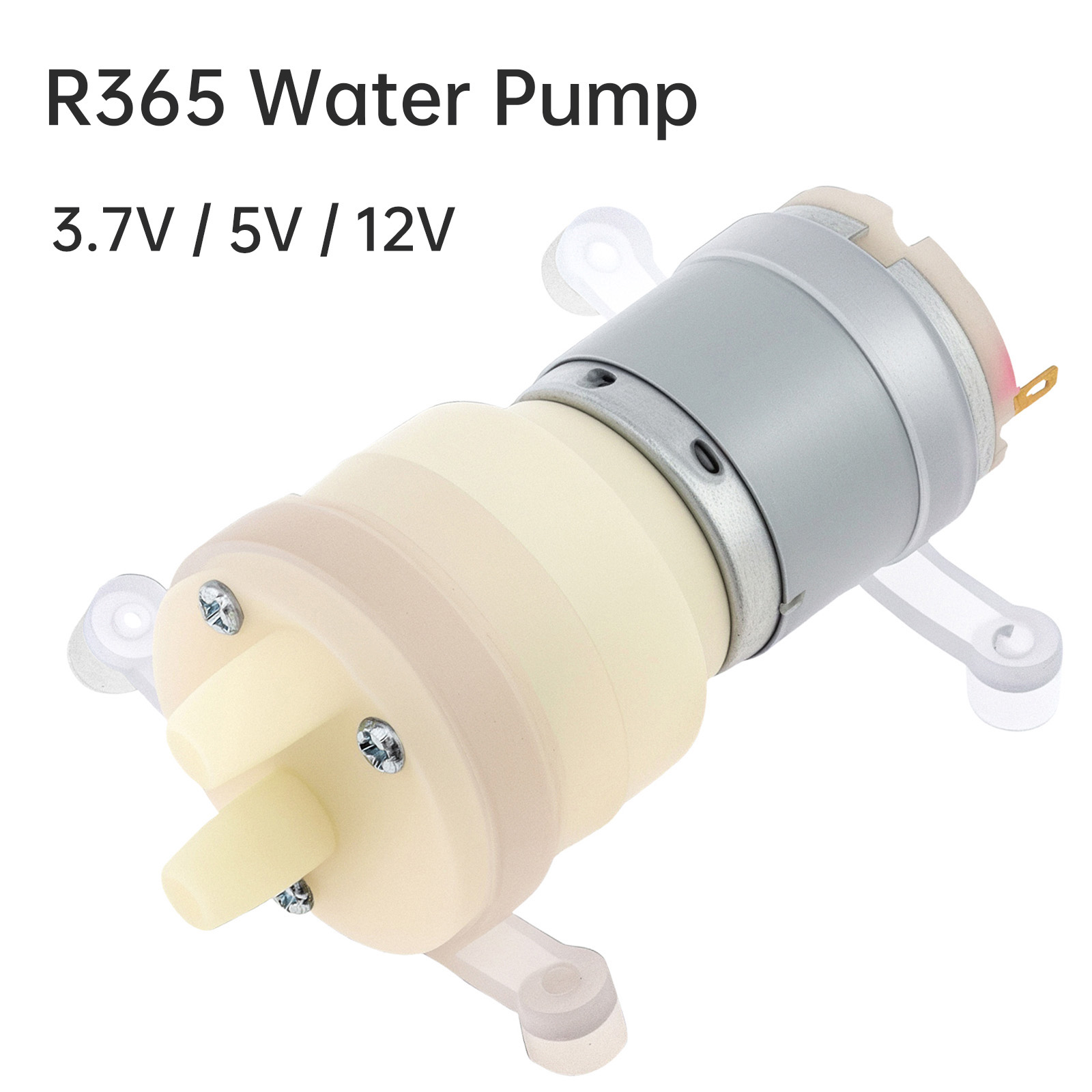 R365 Mikro-Wasserpumpenmotor,  – Mini Peristaltic Pump 12V Bewertung und Preis