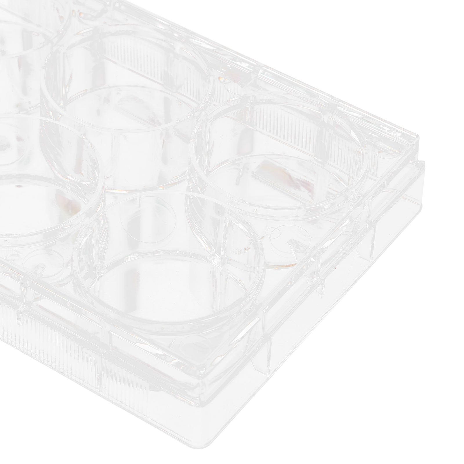 Gewebekulturplatte Labor Langl – Lab Equipment Bewertung und Preis