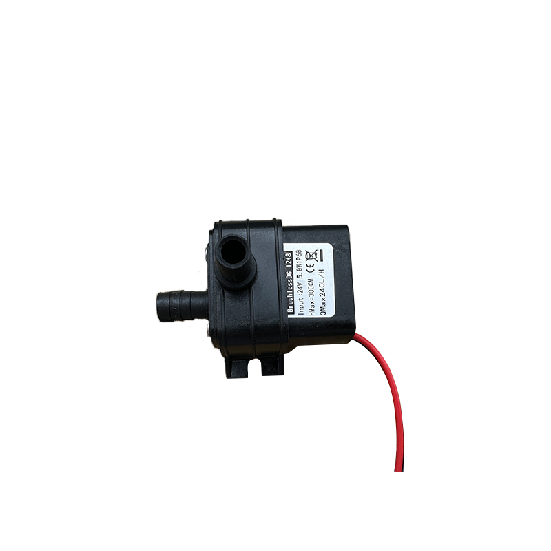 Tragbare DC 12V 4,8W 24V 5,8W  – Mini Peristaltic Pump 12V Bewertung und Preis